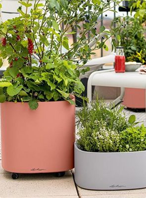 Кашпо (с которыми мы работаем)